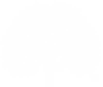 Camarillo Tree Service: Tree Trimming, Tree Removal, Emergency Services