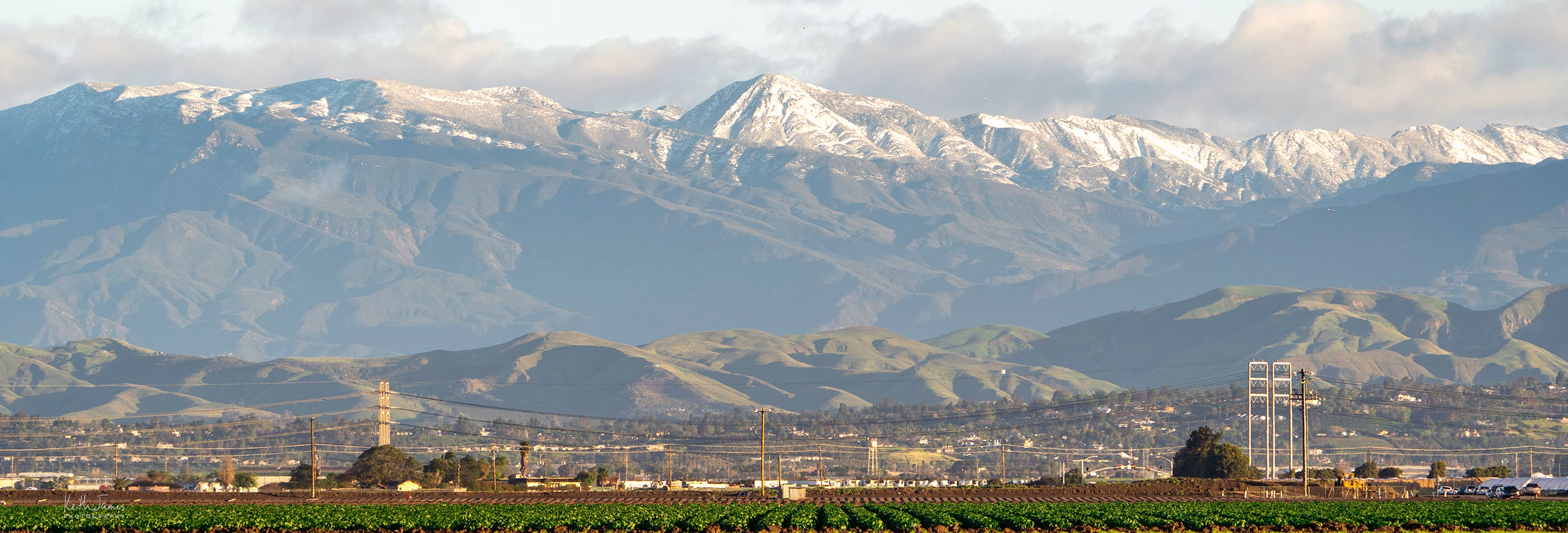 Camarillo Tree Service is located in Camarillo, CA